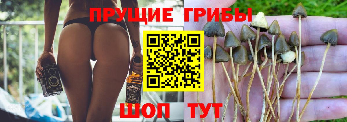 Галлюциногенные грибы Psilocybine cubensis  Вход с VPN  Когалым 